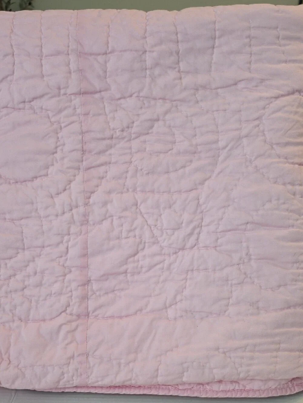 Pottery Barn Kids Daisy Garden Pink Blues Floral Appliqué Embroidered Quilt Twin